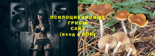 2c-b Алексин