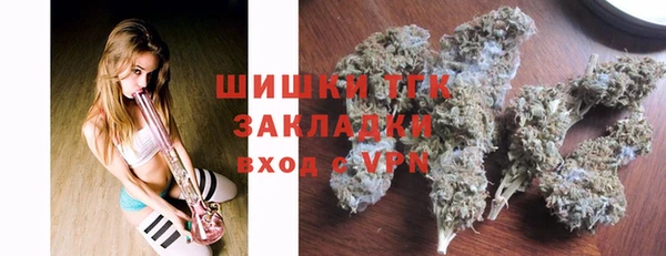 прущие грибы Пролетарск