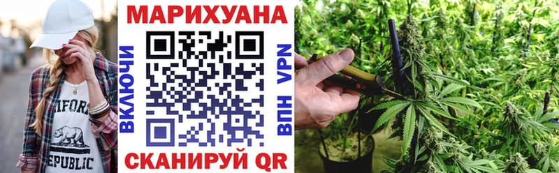 Каннабис сатива  Орлов 